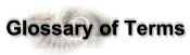 Glossary of Terms